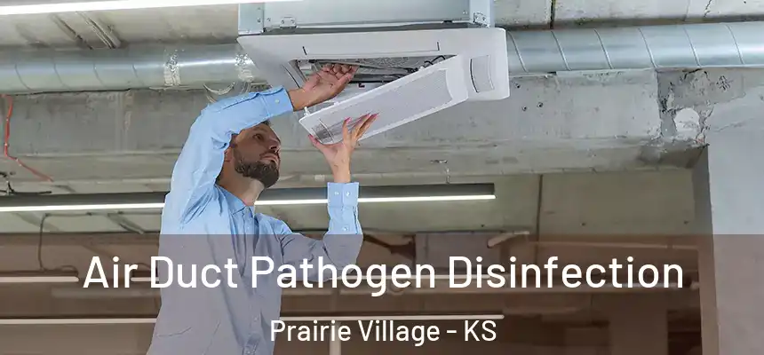 Air Duct Pathogen Disinfection Prairie Village - KS