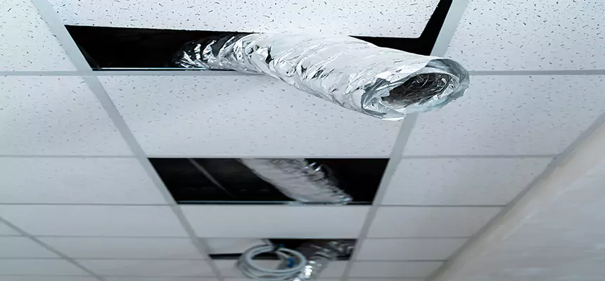 Our Air Duct Pet Hair Removal Services in Prairie Village, KS