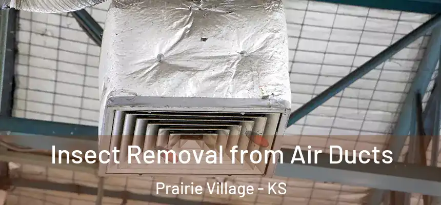  Insect Removal from Air Ducts Prairie Village - KS