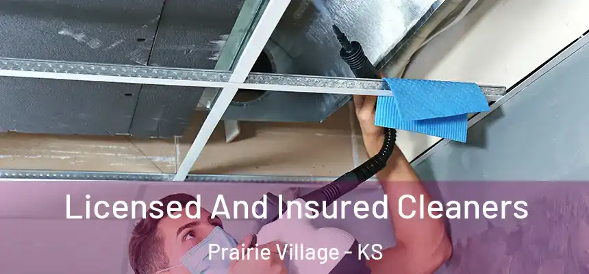 Licensed And Insured Cleaners Prairie Village - KS