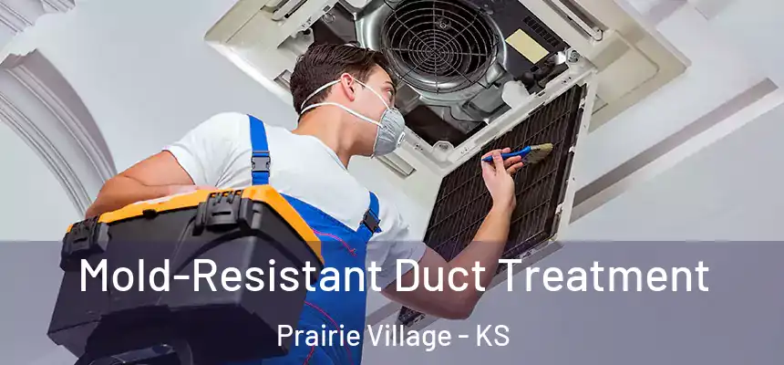  Mold-Resistant Duct Treatment Prairie Village - KS