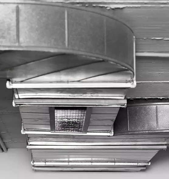 Professional Air Duct Pest Removal in Prairie Village, KS