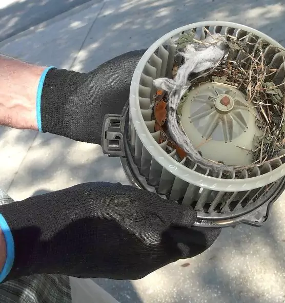 About Air Duct Rat Removal in Prairie Village, KS