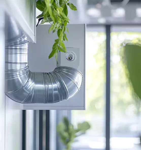 Professional Eco-Safe Dryer Vent Cleaning in Prairie Village, KS