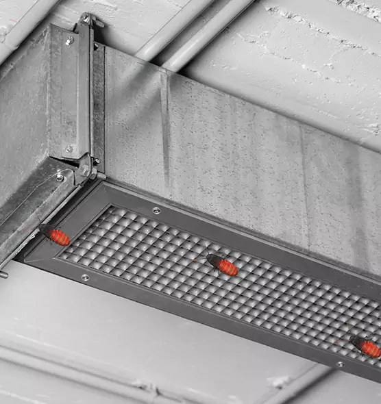 Affordable Insect Removal from Air Ducts in Prairie Village, KS