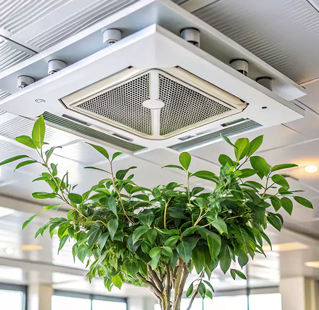 Why Homeowners & Businesses Trust Us in Prairie Village, KS?